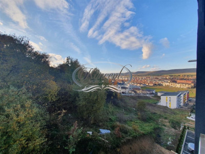 Apartament cu panorama pe strada Teilor