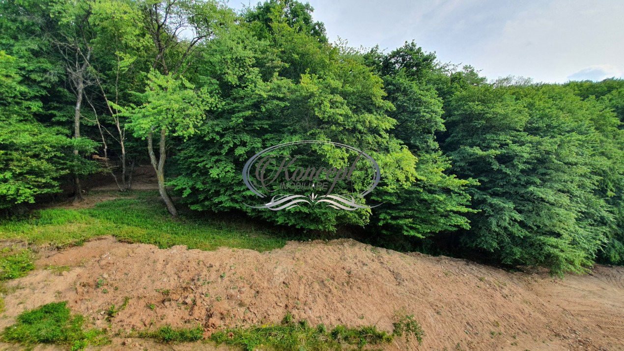 Apartament cu panorama in zona Parcului Poligon