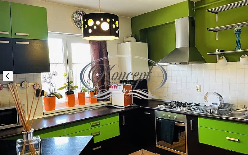 Apartament la casa, cu garaj in Buna Ziua