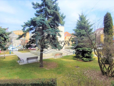 Apartament langa Parcul Central
