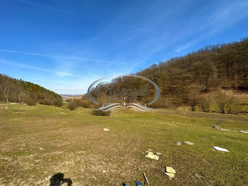 Teren Intravilan de 7854 mp pentru investitie Floresti