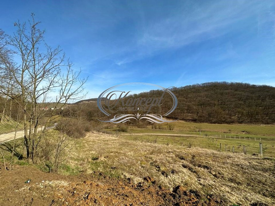 Teren Intravilan de 7854 mp pentru investitie Floresti