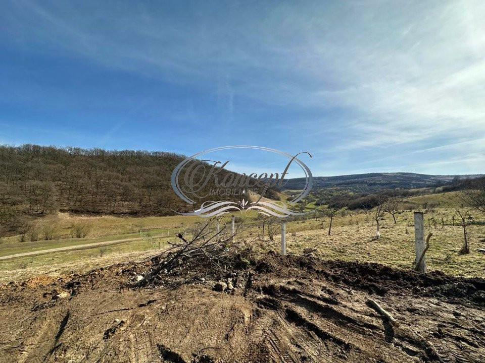 Teren Intravilan de 7854 mp pentru investitie Floresti