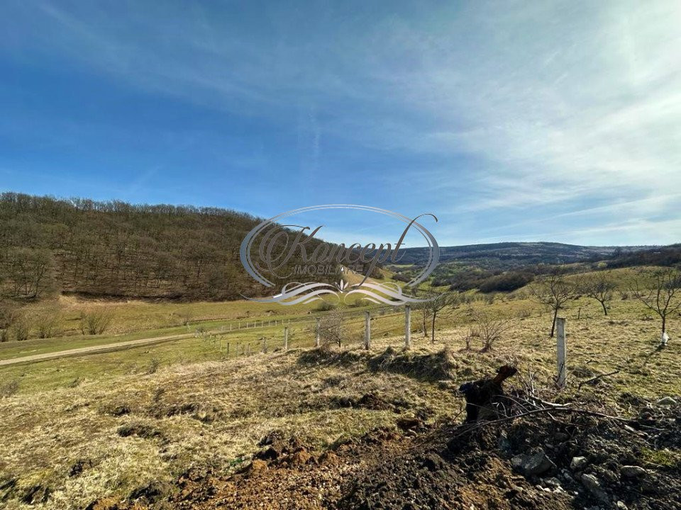 Teren Intravilan de 7854 mp pentru investitie Floresti