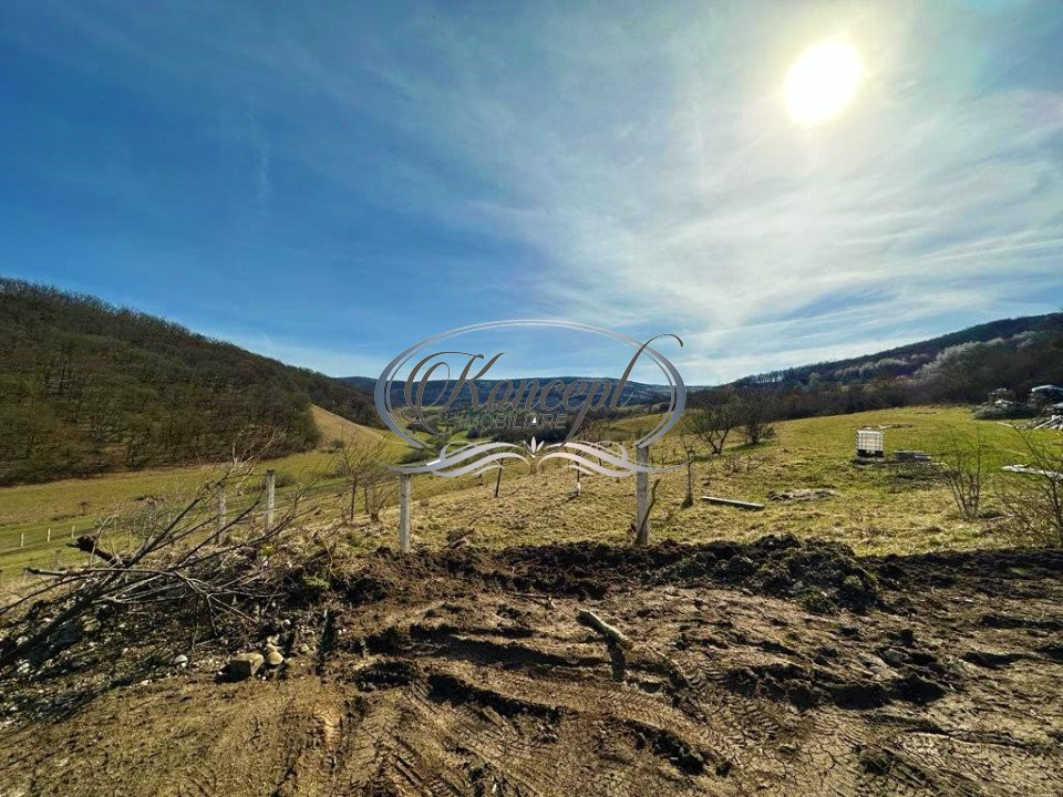 Teren Intravilan de 7854 mp pentru investitie Floresti