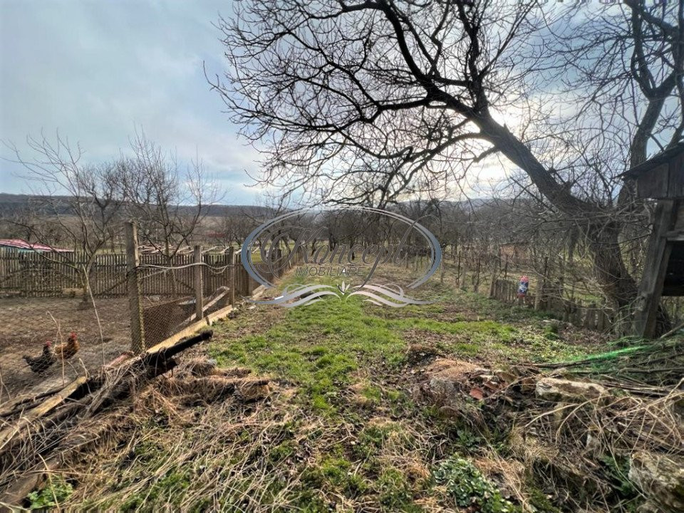 Casa cu teren cultivabil si livada