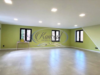 Spatiu pentru birouri, zona The Office