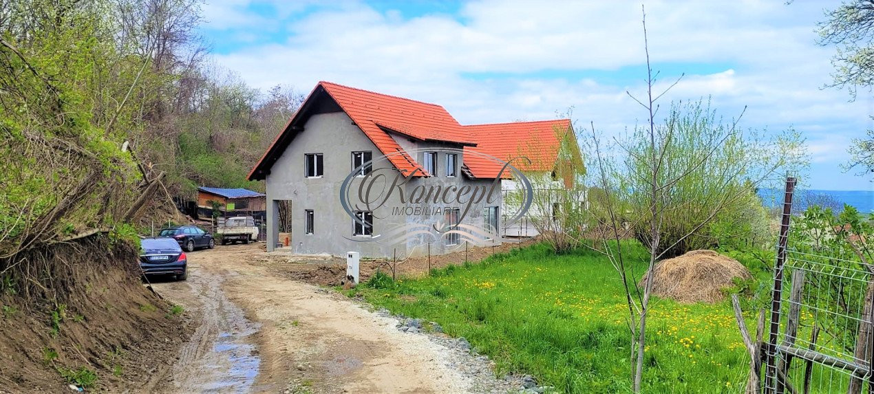 Casa deosebita in satul Gheorgheni