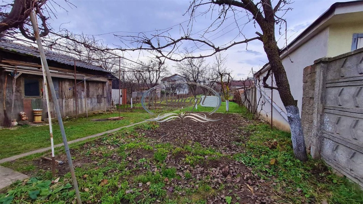 Casa cu teren generos in Dambul Rotund