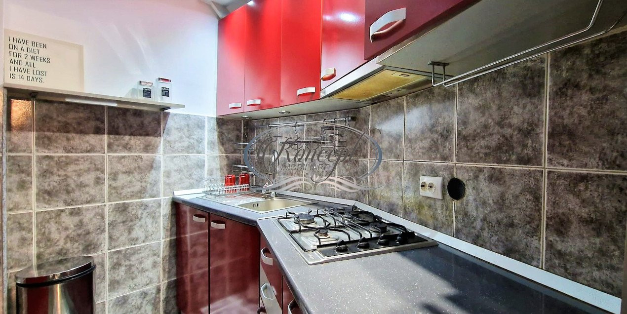 Apartament cu curte pe strada Victor Babes