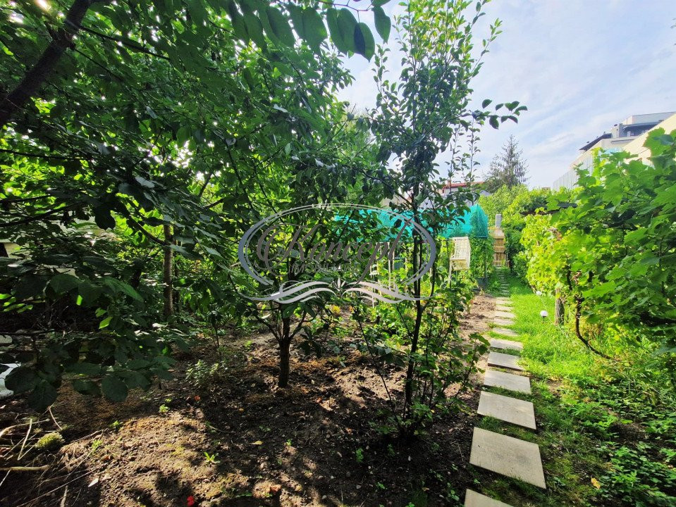 Apartament cu gradina in zona Semicentrala
