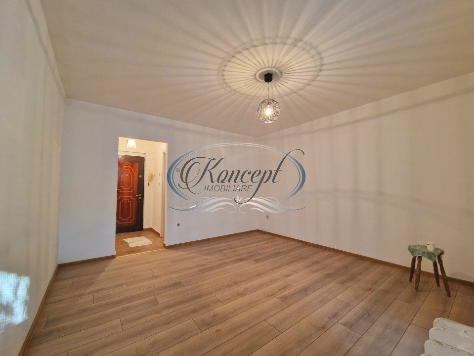 Garsoniera renovata pe Constantin Brancusi