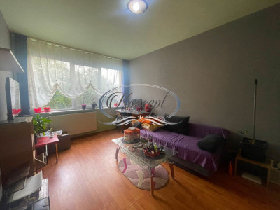 Apartament petfriendly cu curte in Borhanci