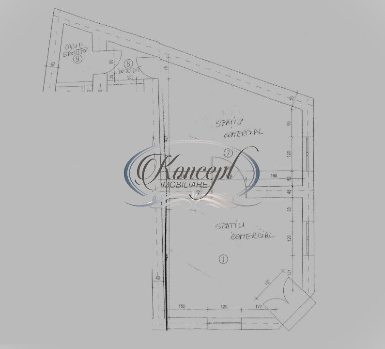 Spatiu comercial pe Calea Motilor