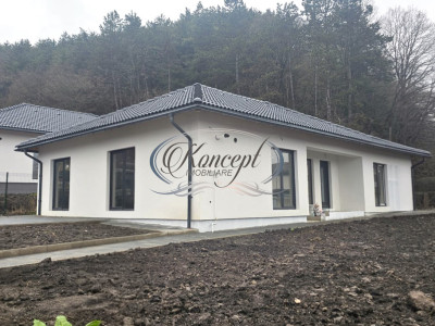 Casa individuala pe un nivel, in Popesti