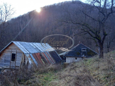Teren pentru cabana