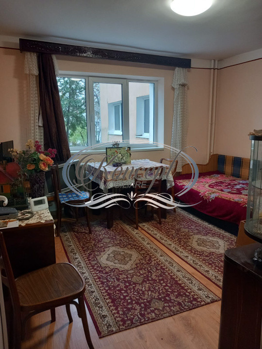 Apartament pet friendly in Manastur 