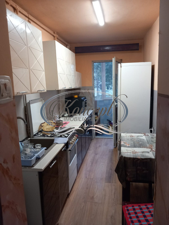 Apartament pet friendly in Manastur 