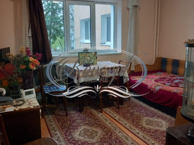 Apartament pet friendly in Manastur 