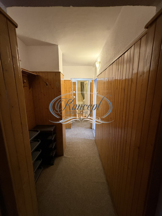 Apartament spatios in Plopilor, langa Parcul Babes