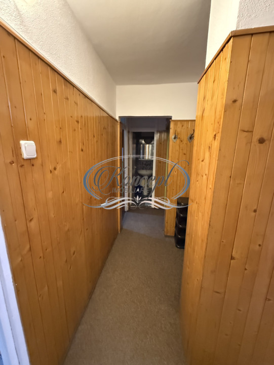 Apartament spatios in Plopilor, langa Parcul Babes