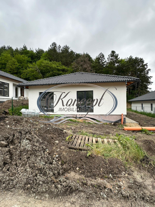 Casa individuala in ansamblu, in Popesti 