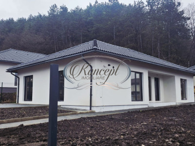 Casa individuala in ansamblu, in Popesti 