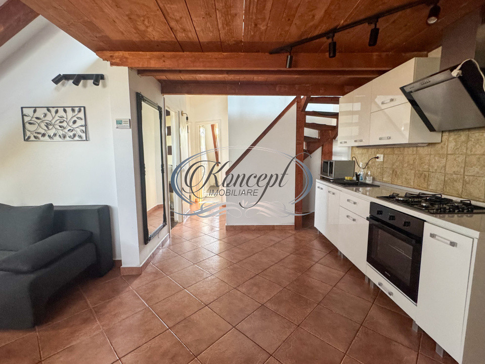 Apartament luminos cu pod si aer conditionat – Buna Ziua