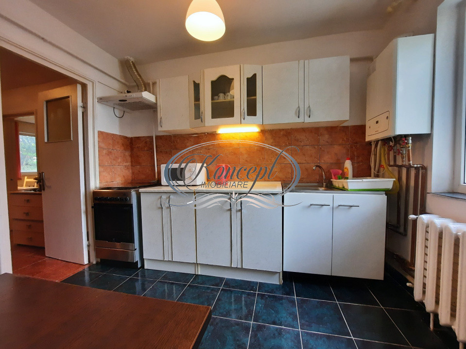 Apartament spatios pet friendly ,strada Negoiu
