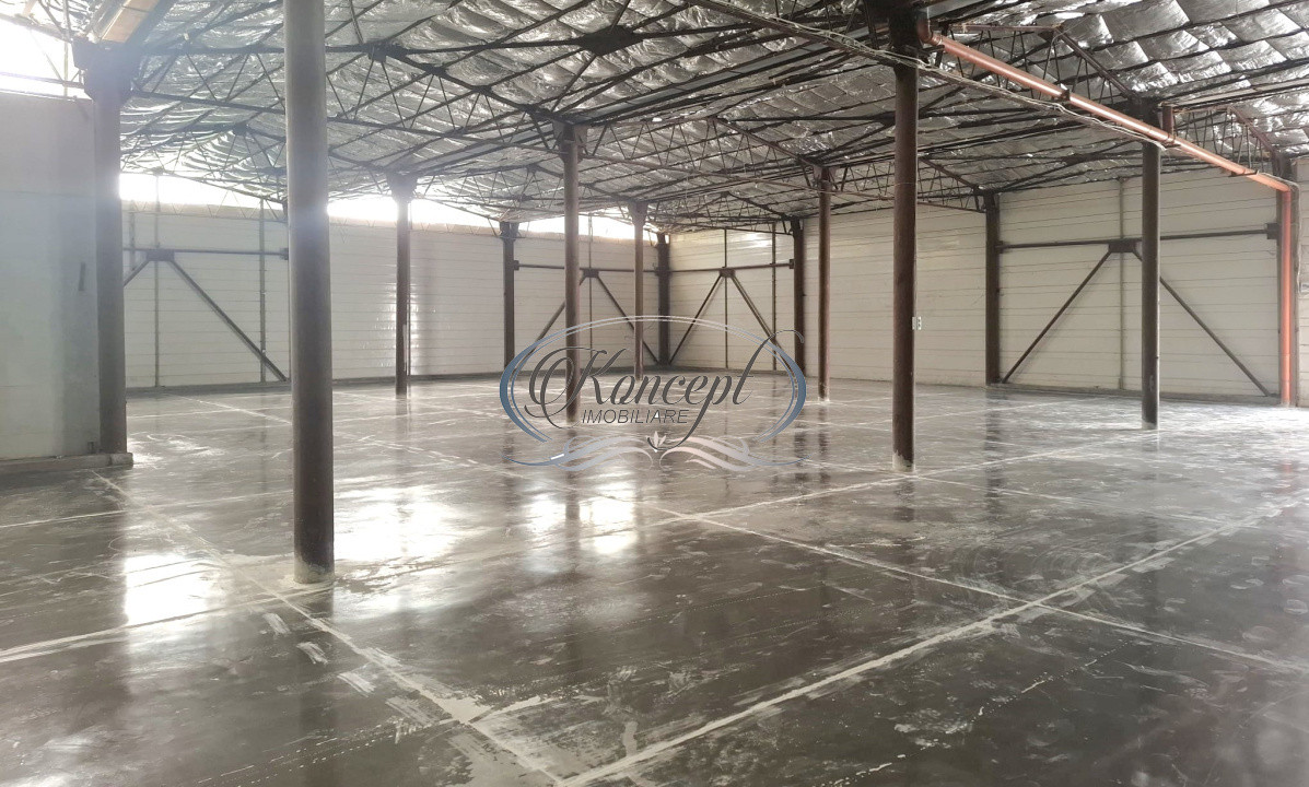 Hala de inchiriat ideala pentru productie sau logistica, in zona Calea Baciului