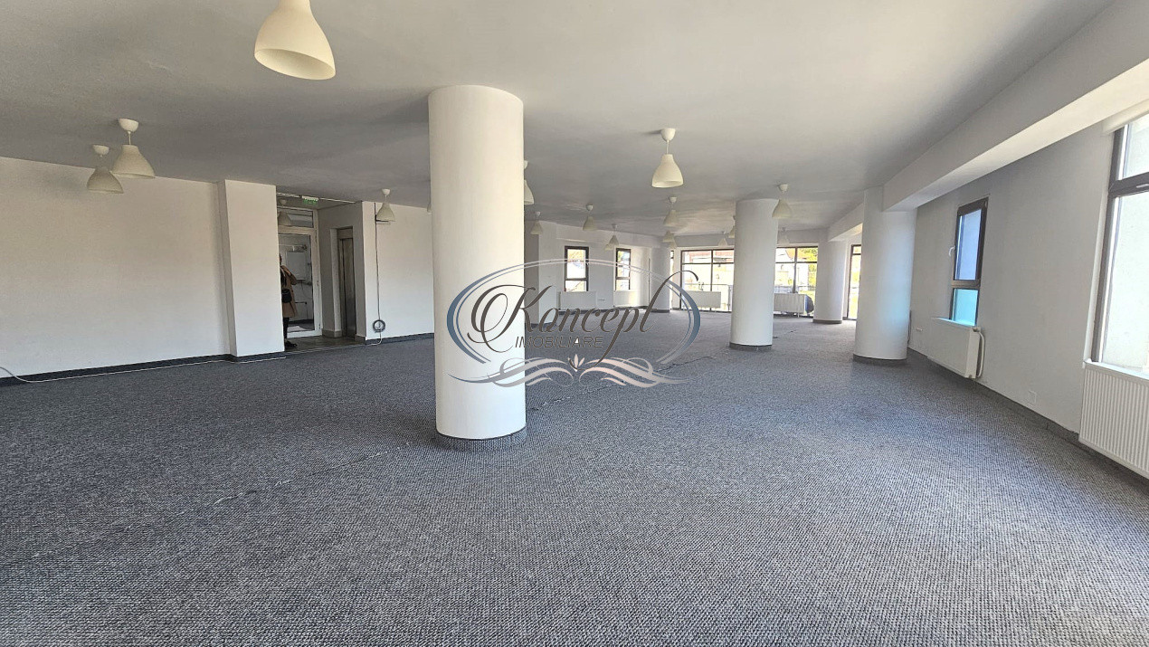 Spatiu de birouri modern in cartierul Iris