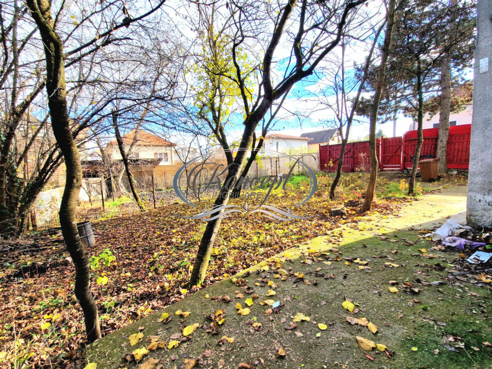 Casa pentru birou sau locuire, zona Andrei Muresanu