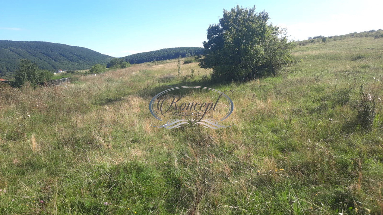 Teren cu autorizatie si utilitati in Salicea