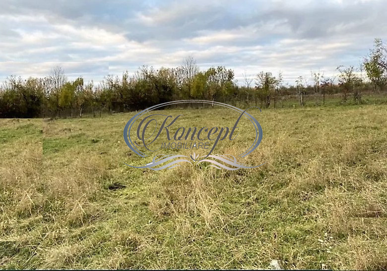 Teren in curs de autorizare in Faget