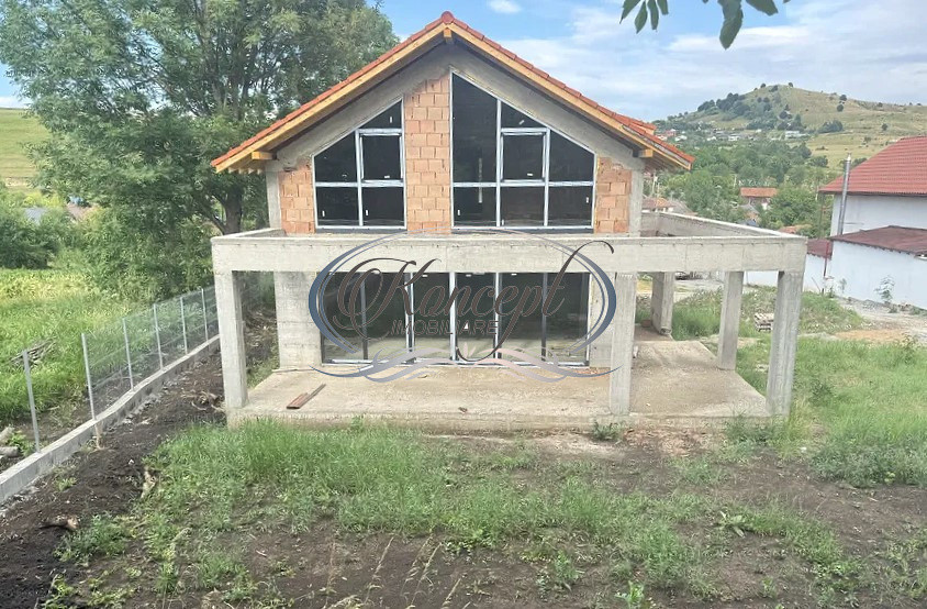 Casa individuala in Salicea