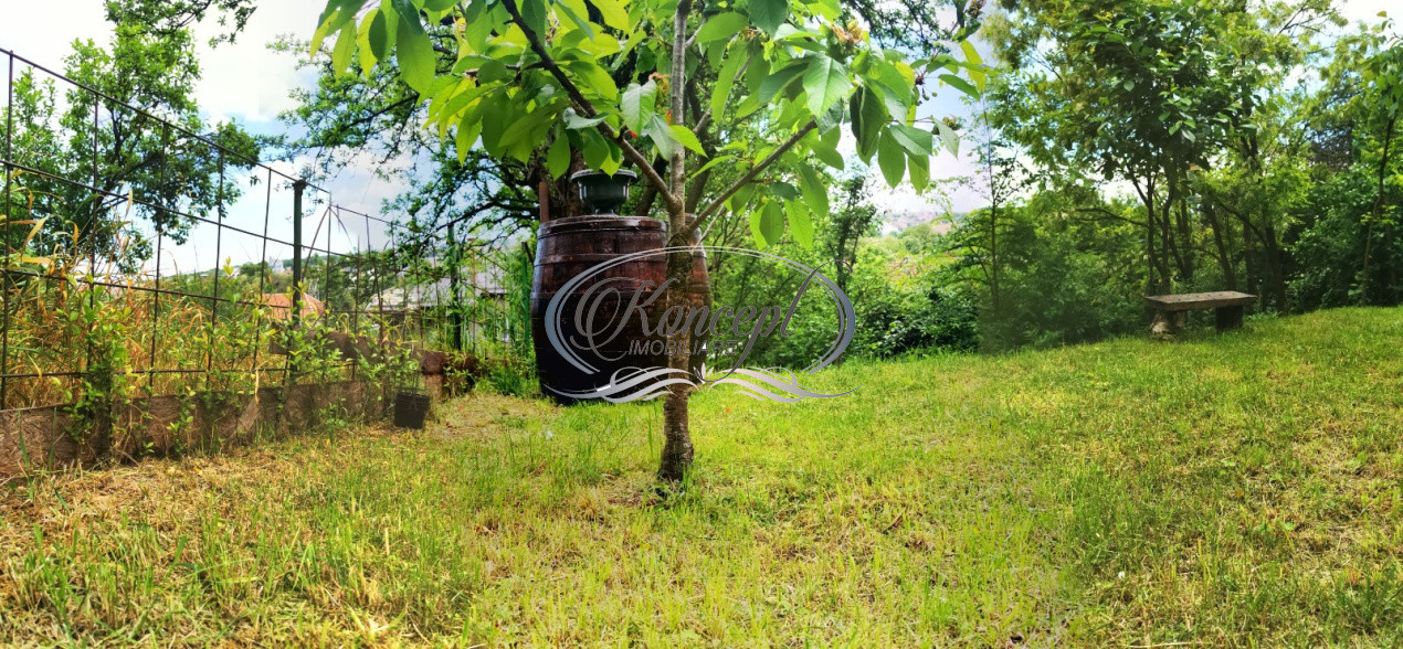 Apartament cu gradina si atmosfera boema, zona Semicentrala