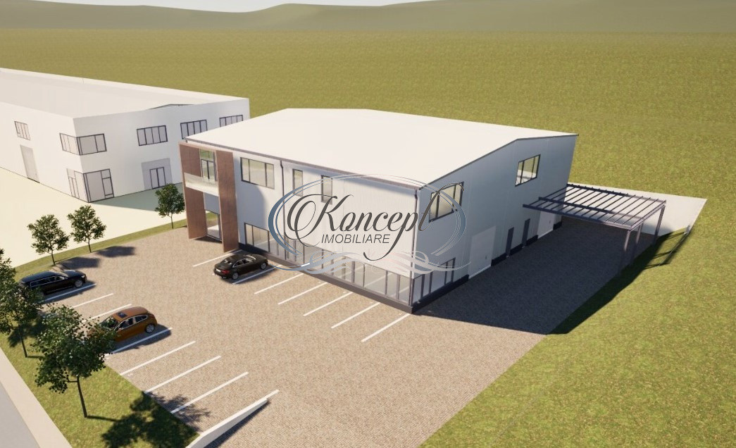 Teren industrial cu autorizatie hala, Valea Chintaului