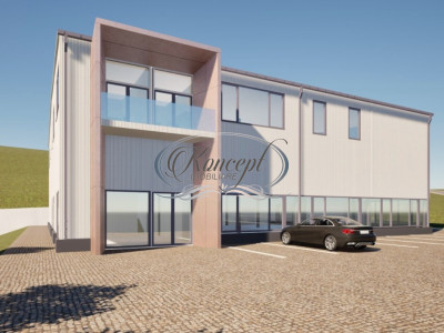 Teren industrial cu autorizatie hala, Valea Chintaului