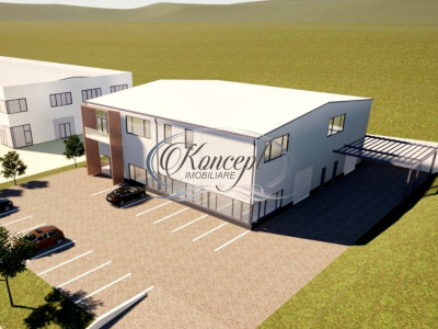 Teren industrial cu autorizatie hala, Valea Chintaului