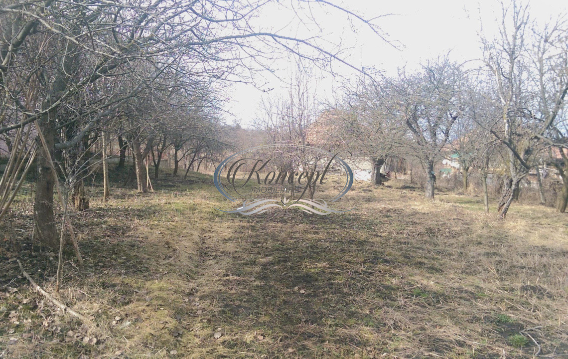 Teren pentru casa sau duplex in sat Gheorgheni