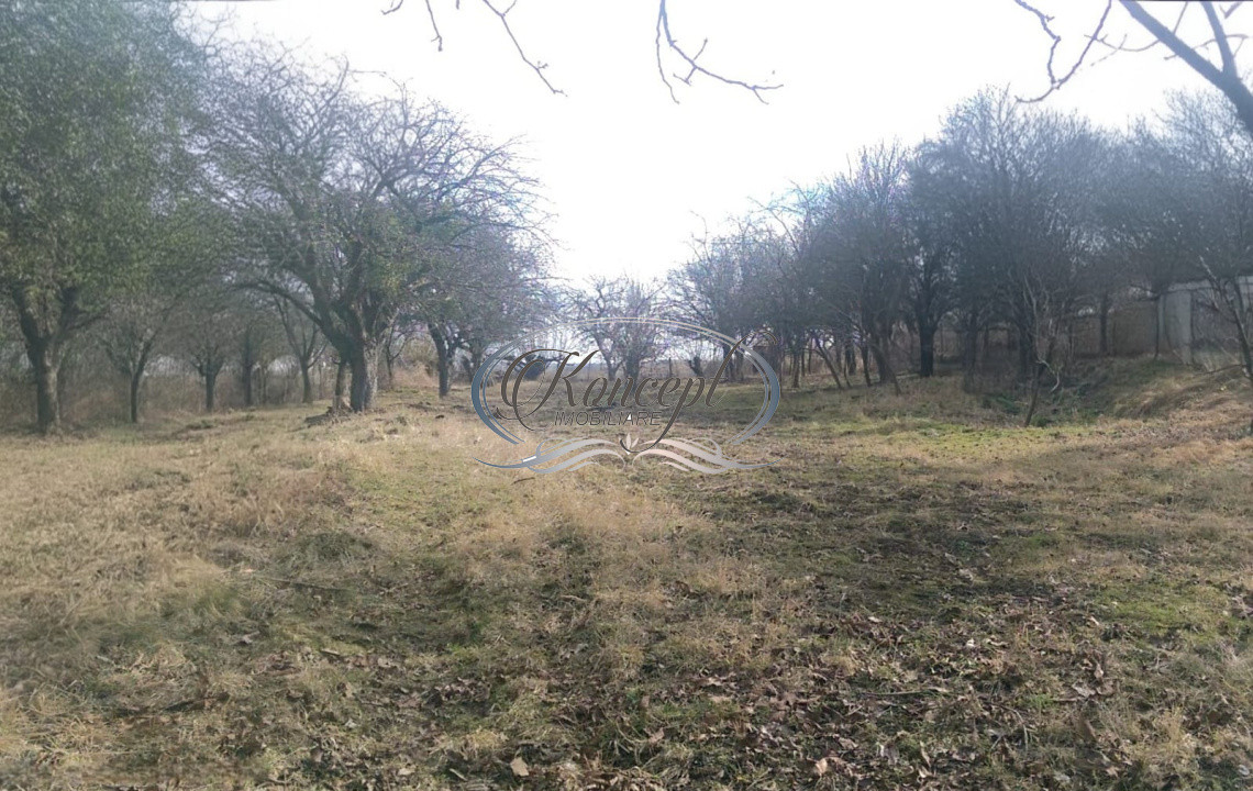 Teren pentru casa sau duplex in sat Gheorgheni