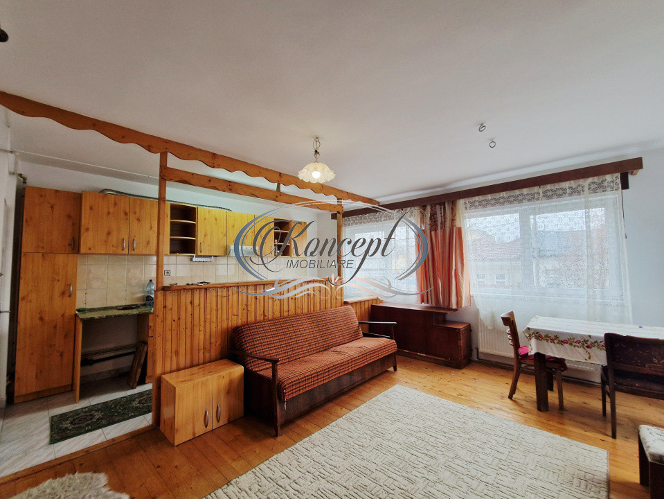 Casa individuala in piata 1848