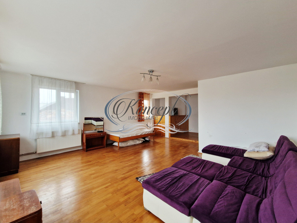 Casa individuala in piata 1848