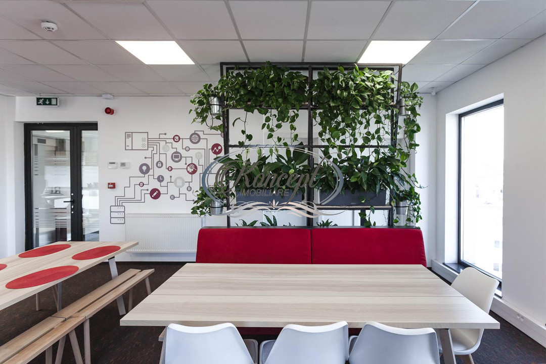 Spatiu de birou premium cu terasa, la cheie in cartierul Marasti