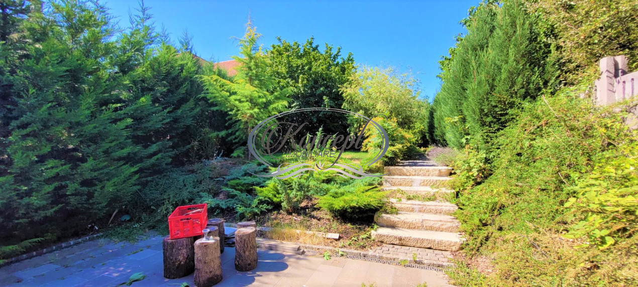 Spatiu de birouri in Andrei Muresanu