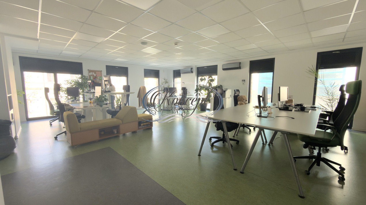 Birouri premium, cu parcare, strada Avram Iancu