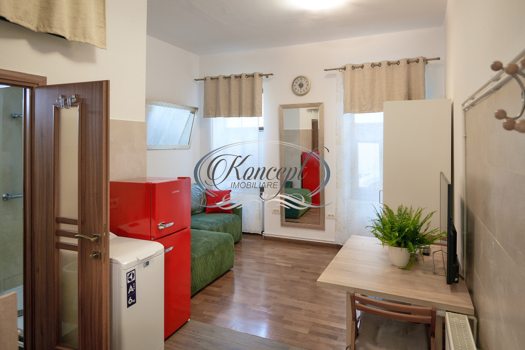Studio ultracentral cu potential investitional