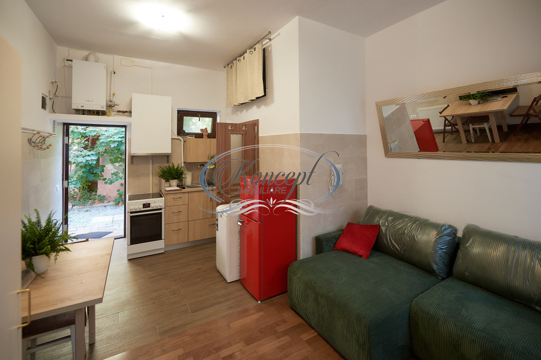 Studio ultracentral cu potential investitional