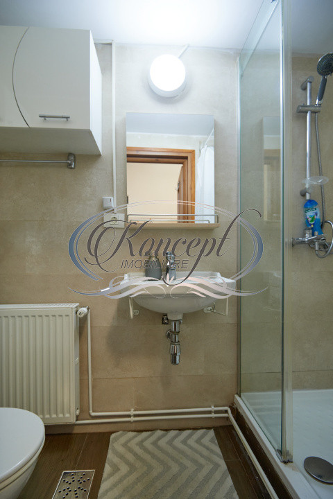Studio ultracentral cu potential investitional