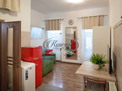 Studio ultracentral cu potential investitional